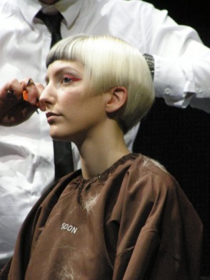 ModeleModeCoiffure002