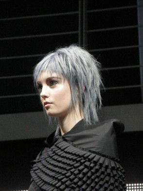 ModeleModeCoiffure006
