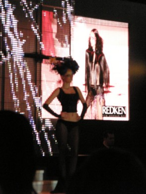 ModeleModeCoiffure013